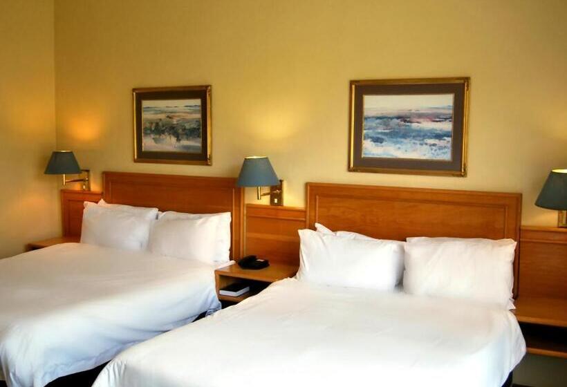 اتاق لوکس خانوادگی, Safari Hotel & Convention Centre