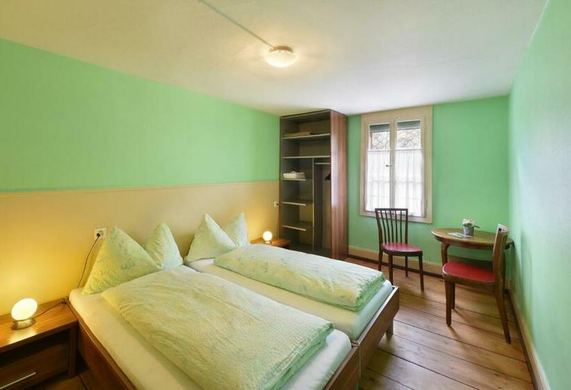 스탠다드 룸 공동 욕실, Budget Waldhotel Unspunnen