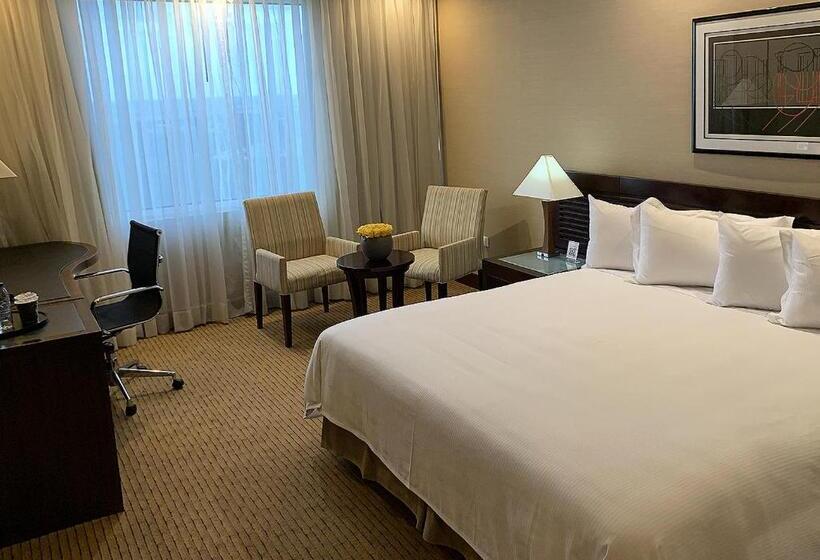 اتاق استاندارد با تخت بزرگ, Eurobuilding Hotel & Suites Guayana