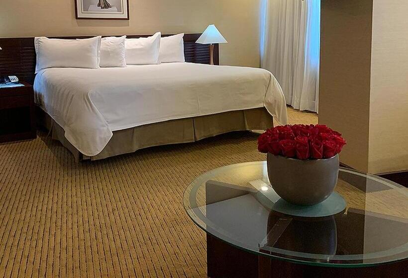 اتاق استاندارد با تخت بزرگ, Eurobuilding Hotel & Suites Guayana