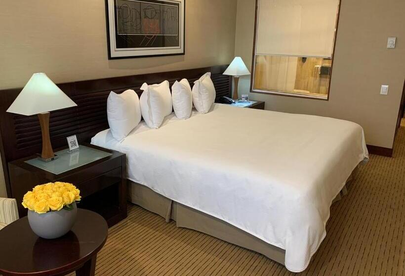 اتاق استاندارد با تخت بزرگ, Eurobuilding Hotel & Suites Guayana