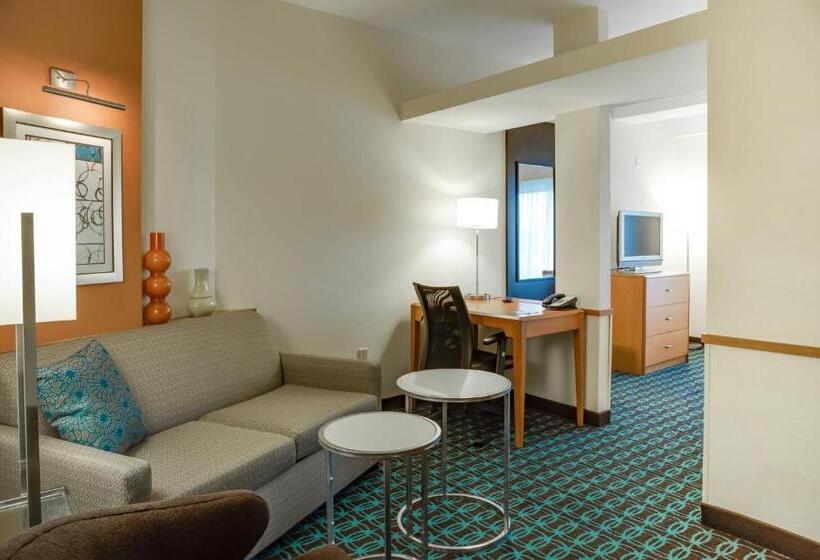 استودیو استاندارد با تخت کینگ, Fairfield Inn & Suites Lake City