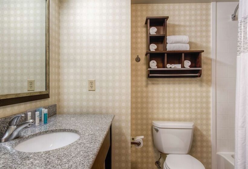 اتاق استاندارد, Hampton Inn & Suites Detroit / Airport   Romulus