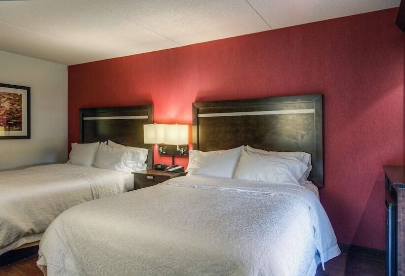 اتاق استاندارد, Hampton Inn & Suites Detroit / Airport   Romulus