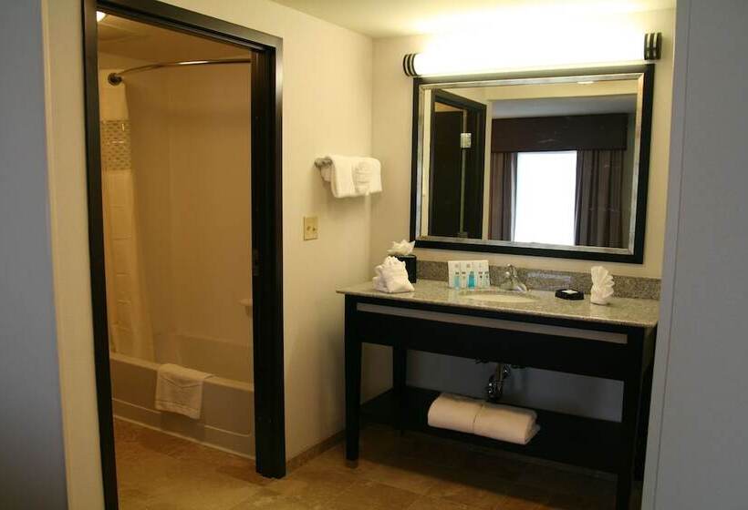 استودیوی استاندارد, Hampton Inn & Suites Detroit / Airport   Romulus
