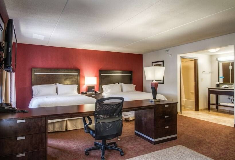 استودیوی استاندارد, Hampton Inn & Suites Detroit / Airport   Romulus
