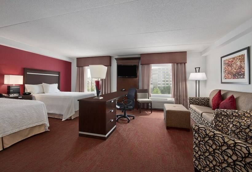 استودیوی استاندارد, Hampton Inn & Suites Detroit / Airport   Romulus