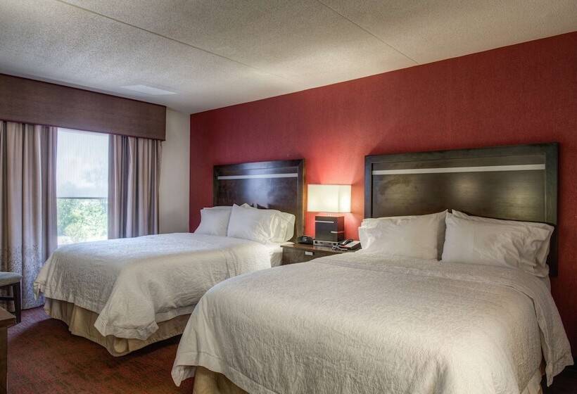 استودیوی استاندارد, Hampton Inn & Suites Detroit / Airport   Romulus