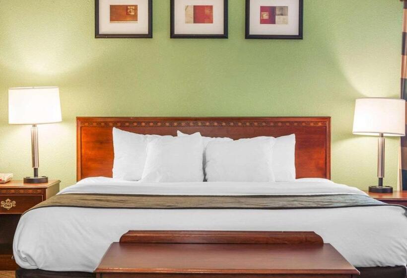 اتاق استاندارد با تخت دو نفره بزرگ برای معلولان, Comfort Inn