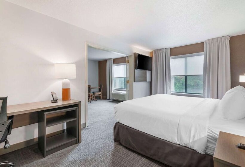 Suite Adapted for people with reduced mobility, Comfort Inn & Suites