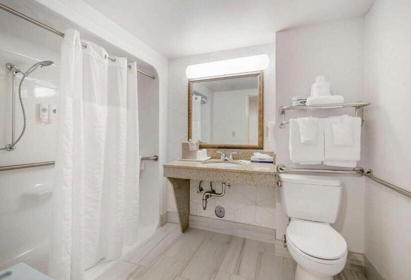 اتاق استاندارد با تخت بزرگ برای معلولان, Comfort Inn & Suites Lake George