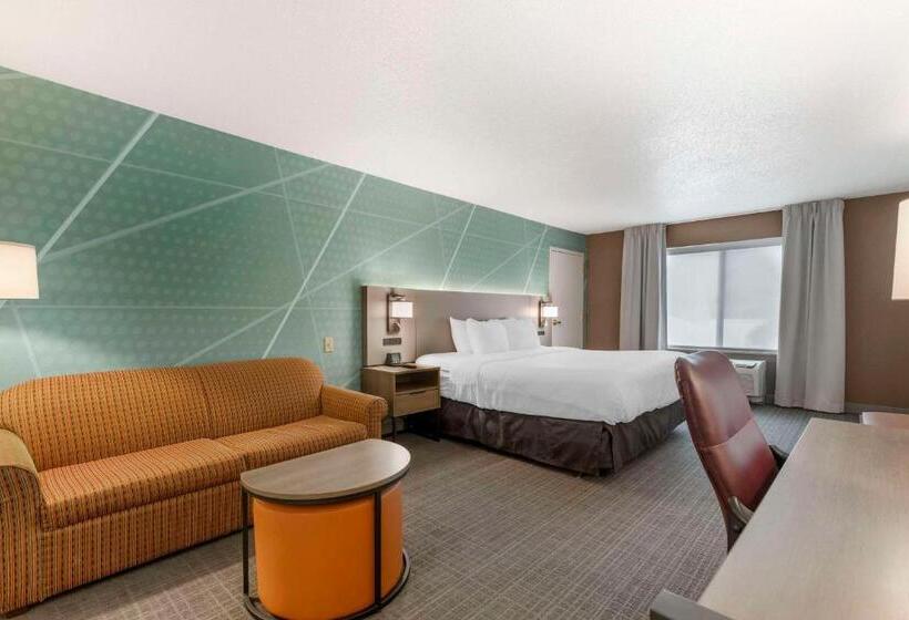 اتاق استاندارد با تخت بزرگ برای معلولان, Comfort Inn & Suites Lake George