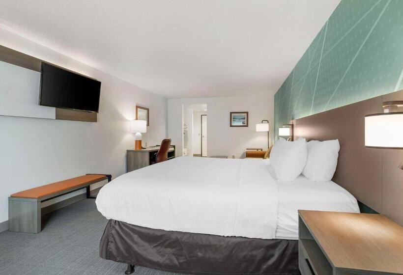 اتاق استاندارد با تخت بزرگ برای معلولان, Comfort Inn & Suites Lake George