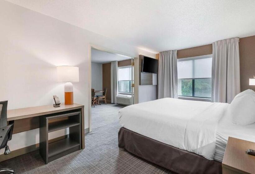 Suite Cama King, Comfort Inn & Suites