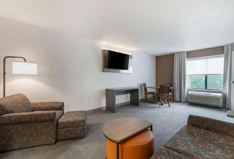 Suite Kingsize Bett, Comfort Inn & Suites