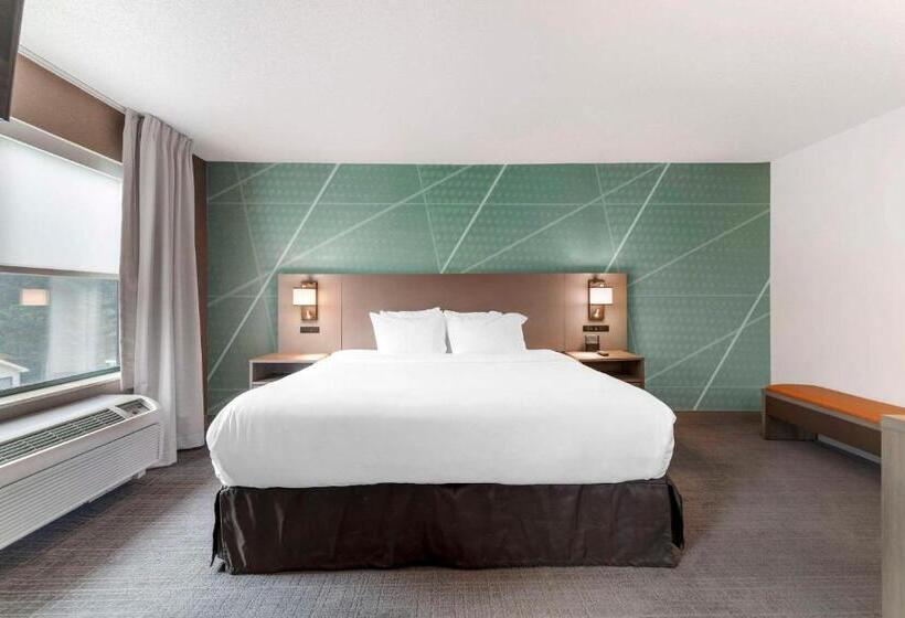 سوئیت با تخت بزرگ, Comfort Inn & Suites Lake George