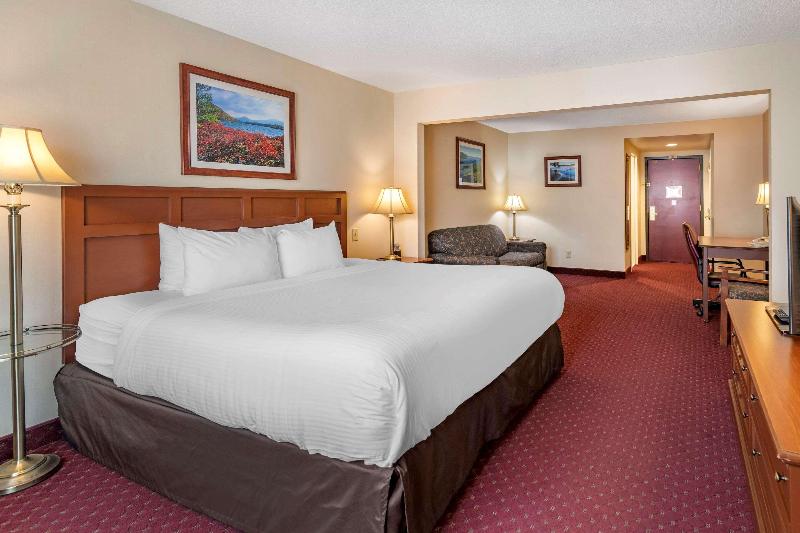 اتاق استاندارد با تخت بزرگ, Comfort Inn & Suites Lake George