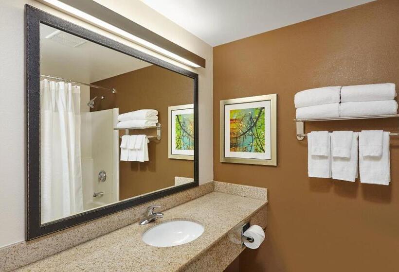 اتاق استاندارد, Fairfield Inn & Suites Chicago Lombard