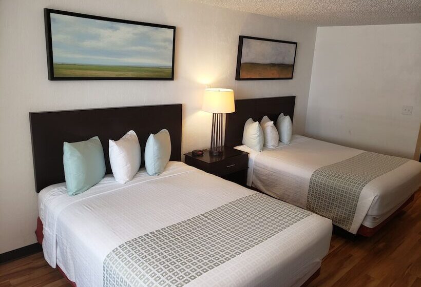 اتاق لوکس, Flamingo Inn Beachfront