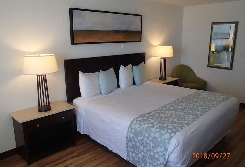 اتاق استاندارد, Flamingo Inn Beachfront