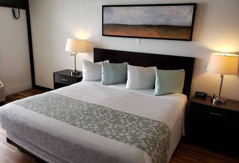 اتاق عادی, Flamingo Inn Beachfront