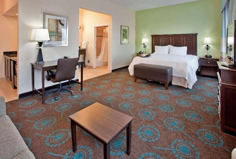 اتاق استاندارد با تخت بزرگ, Hampton Inn & Suites St. Cloud, Mn