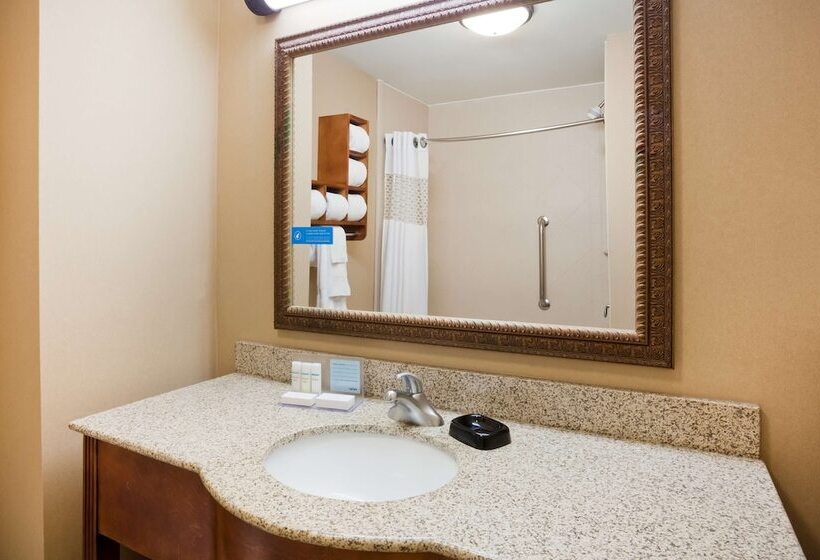 Standard Room Adapted for people with reduced mobility, Hampton Inn Fairmont