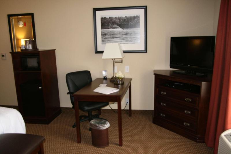 اتاق استاندارد با تخت بزرگ, Hampton Inn & Suites Lanett West Point