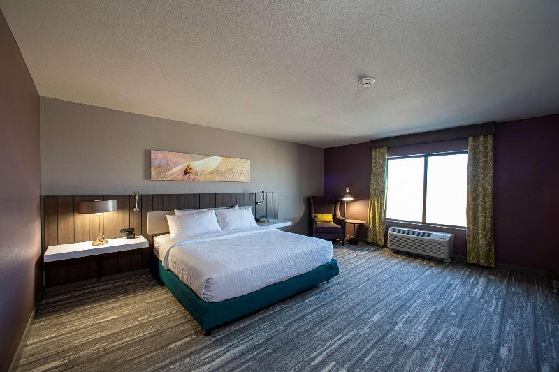 اتاق استاندارد با تخت بزرگ, Hilton Garden Inn Rapid City