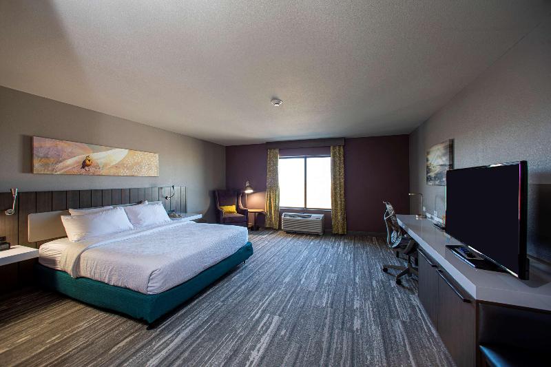 اتاق استاندارد با تخت بزرگ, Hilton Garden Inn Rapid City