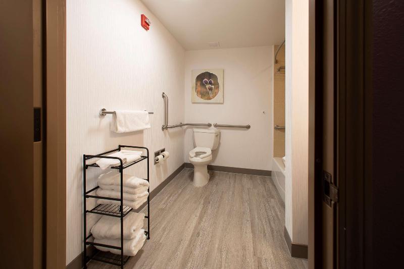 Стандартный Номер Кровать Кинг, Hilton Garden Inn Rapid City