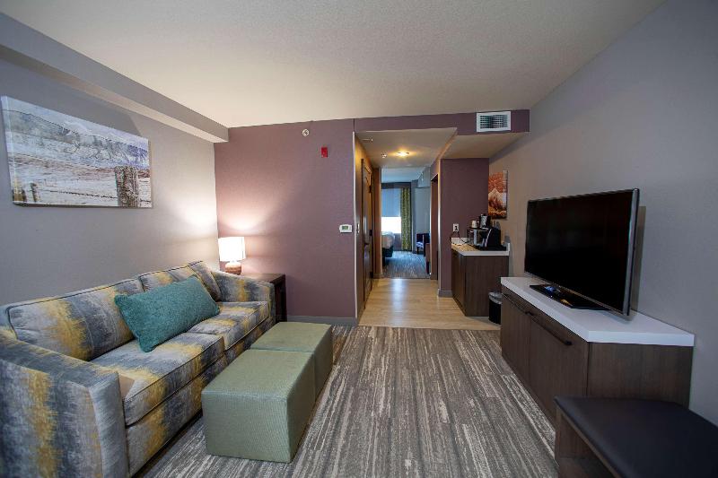 Полулюкс Кровать Кинг, Hilton Garden Inn Rapid City
