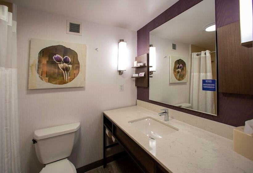 Номер Deluxe, Hilton Garden Inn Rapid City