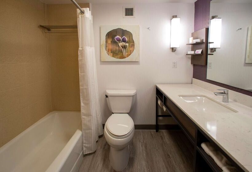 Номер Deluxe, Hilton Garden Inn Rapid City