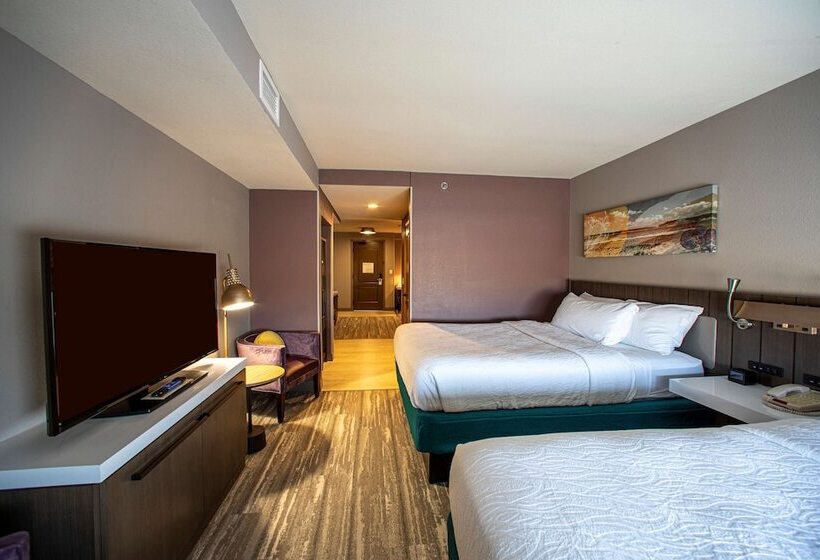 Номер Deluxe, Hilton Garden Inn Rapid City