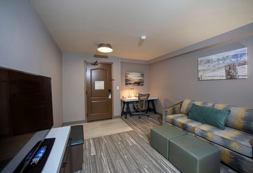 Номер Deluxe, Hilton Garden Inn Rapid City