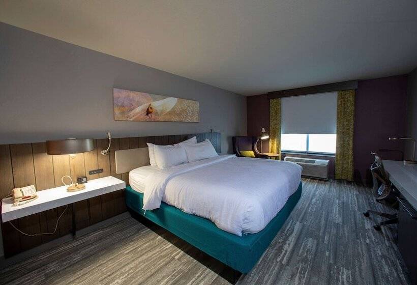 اتاق استاندارد با تخت دوبل, Hilton Garden Inn Rapid City