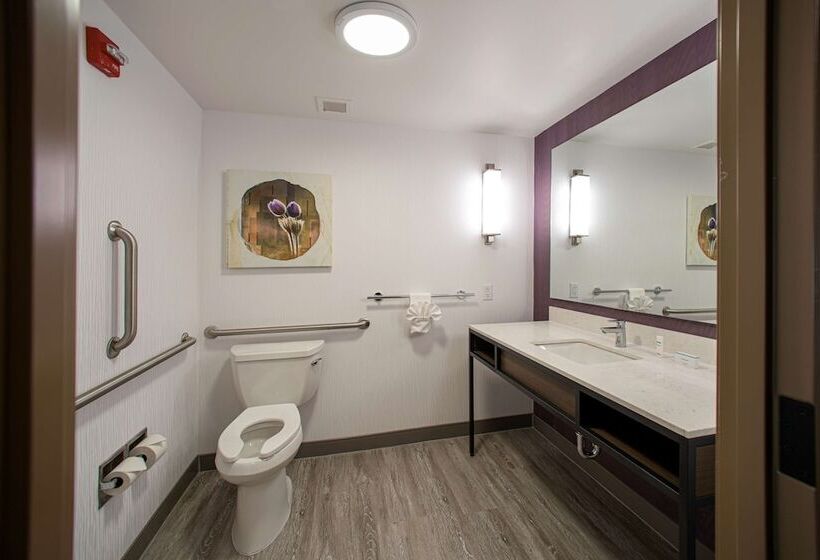 Президентский Люкс, Hilton Garden Inn Rapid City