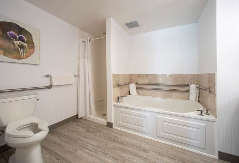 Президентский Люкс, Hilton Garden Inn Rapid City