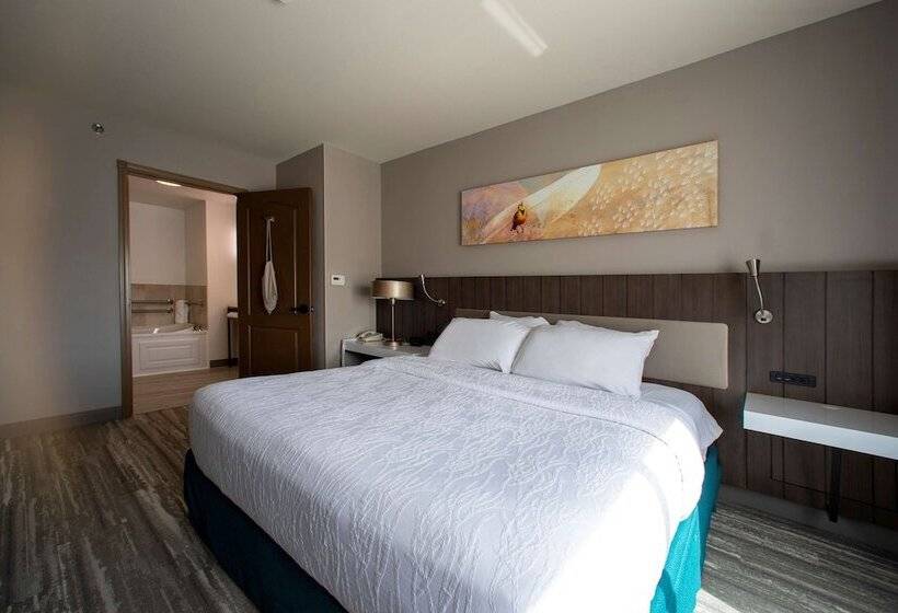 Президентский Люкс, Hilton Garden Inn Rapid City