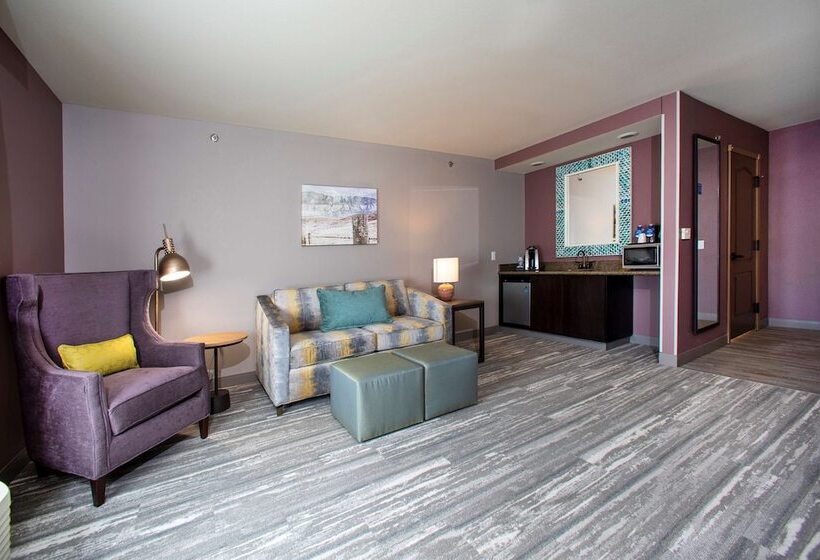 Президентский Люкс, Hilton Garden Inn Rapid City