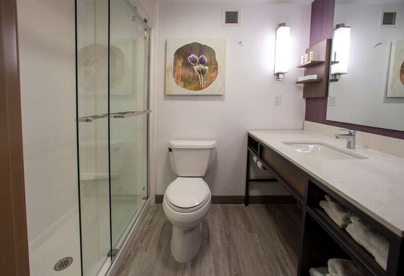 Номер Deluxe, Hilton Garden Inn Rapid City