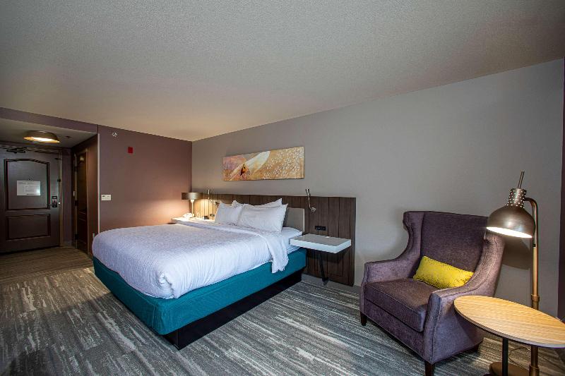 Стандартный Номер Кровать Кинг, Hilton Garden Inn Rapid City