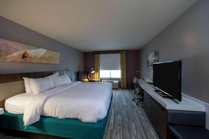 Стандартный Номер Кровать Кинг, Hilton Garden Inn Rapid City