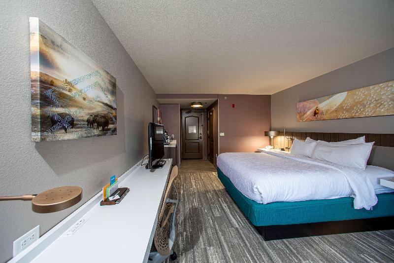 Стандартный Номер Кровать Кинг, Hilton Garden Inn Rapid City