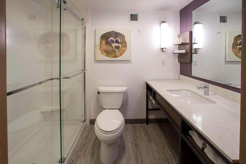 Стандартный Номер Кровать Кинг, Hilton Garden Inn Rapid City