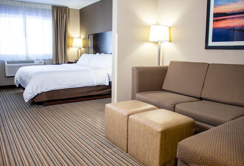 اتاق استاندارد, Holiday Inn Express & Suites Hayward, An Ihg