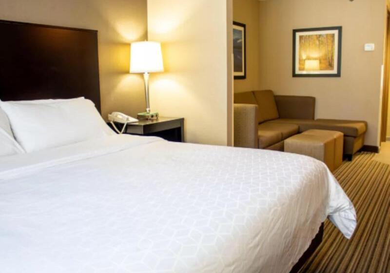 سوئیت با تخت بزرگ, Holiday Inn Express & Suites Hayward, An Ihg