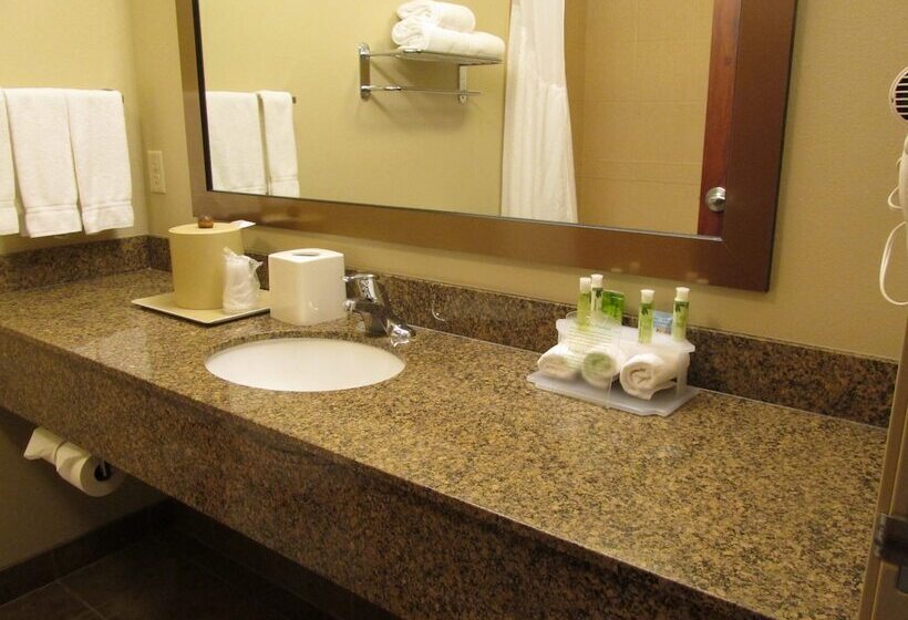 اتاق استاندارد, Holiday Inn Express & Suites Sioux Falls Southwest, An Ihg