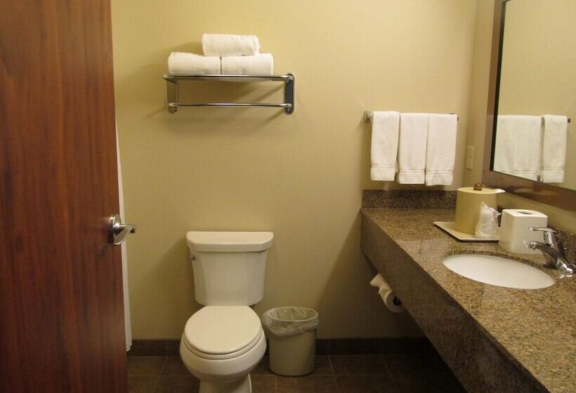 اتاق استاندارد, Holiday Inn Express & Suites Sioux Falls Southwest, An Ihg